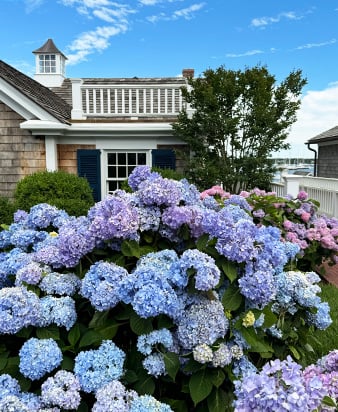 Marthas Vineyard-1