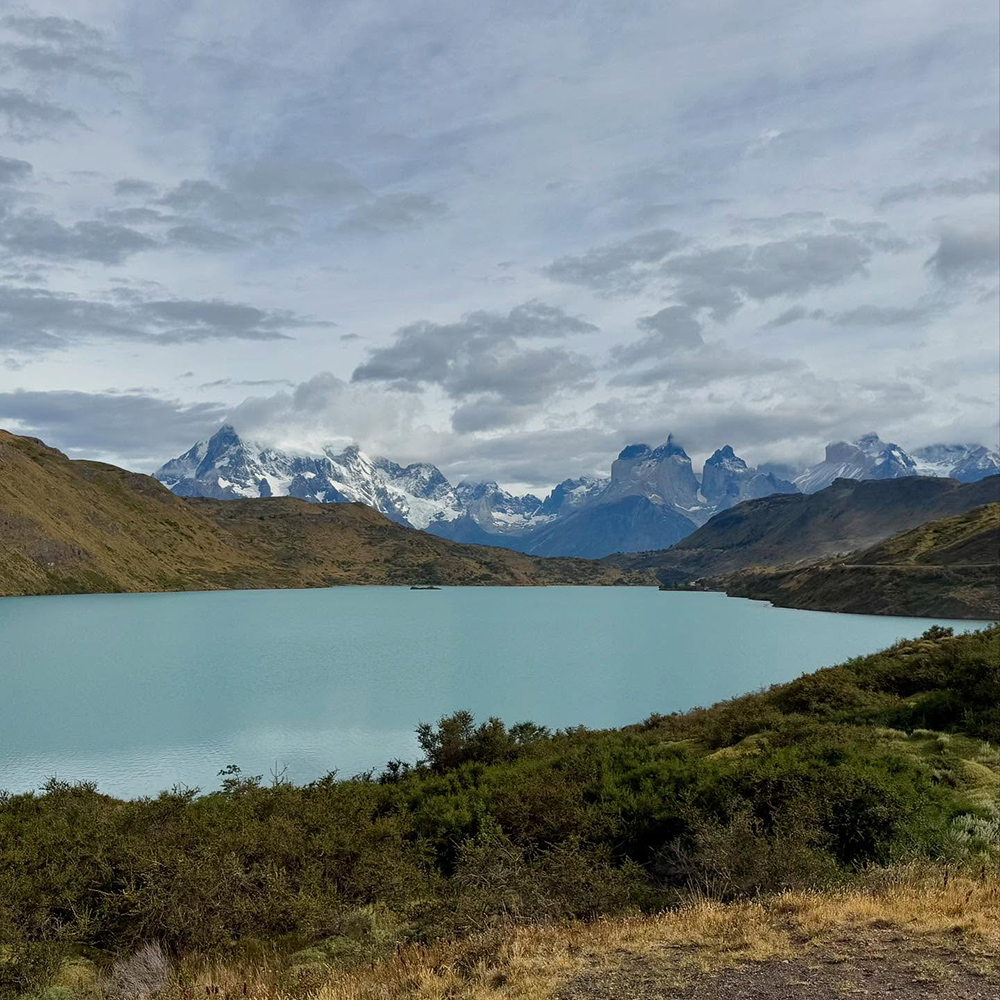 indagarefounder_1738979274_3563138862231816619_45585075